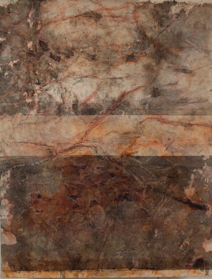 Terre 2 2007, inks, pigment, acrylic, Japanese paper, laid down on canvas, 116x 89 cm. 